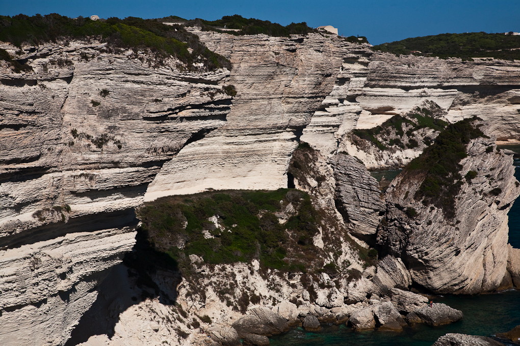 Bonifacio